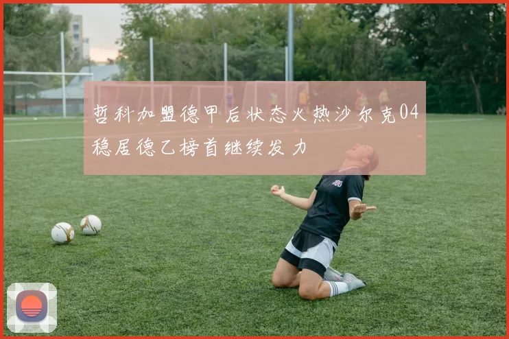 哲科加盟德甲后状态火热沙尔克04稳居德乙榜首继续发力